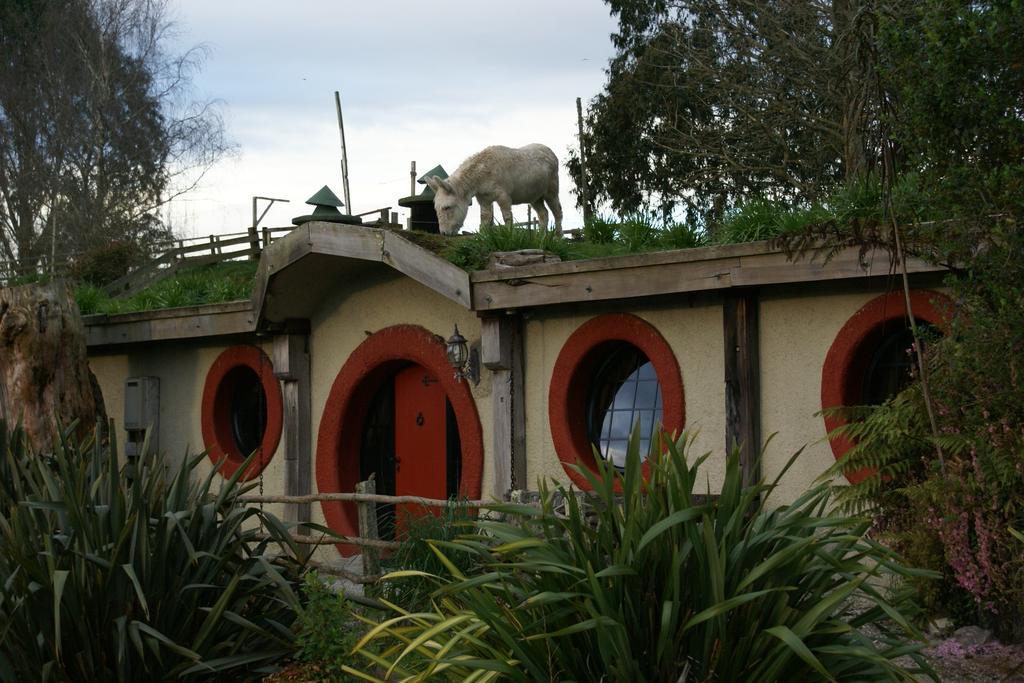 Woodlyn Park Motel Waitomo Caves Exterior photo
